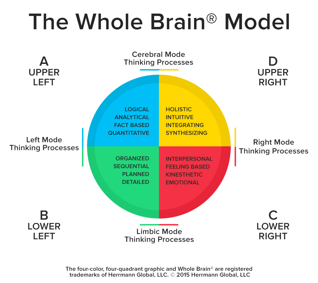 Neuro Marketing Digital los 4 cerebros