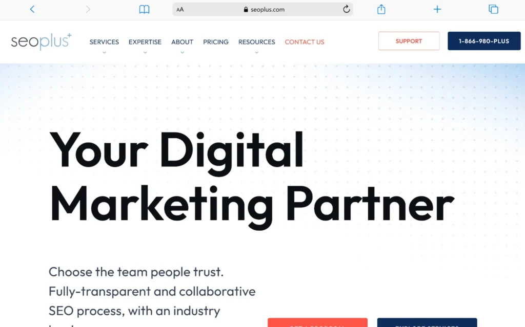 SEO plus