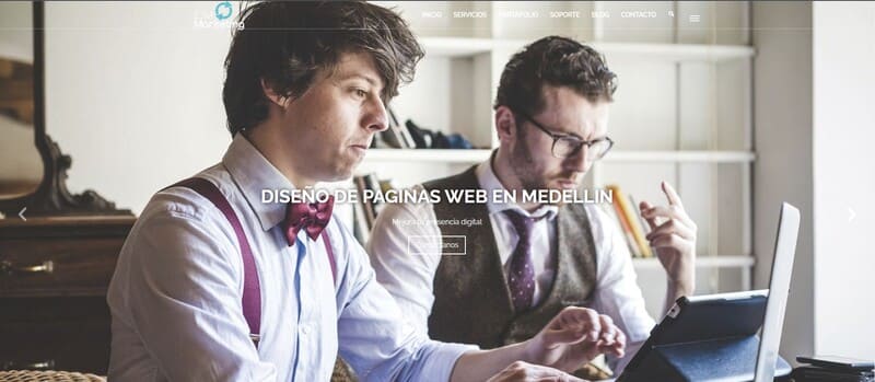 profesionales en diseño de paginas web medellin 
