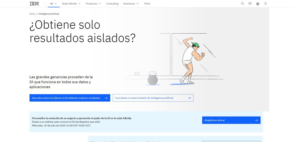 IBM IA